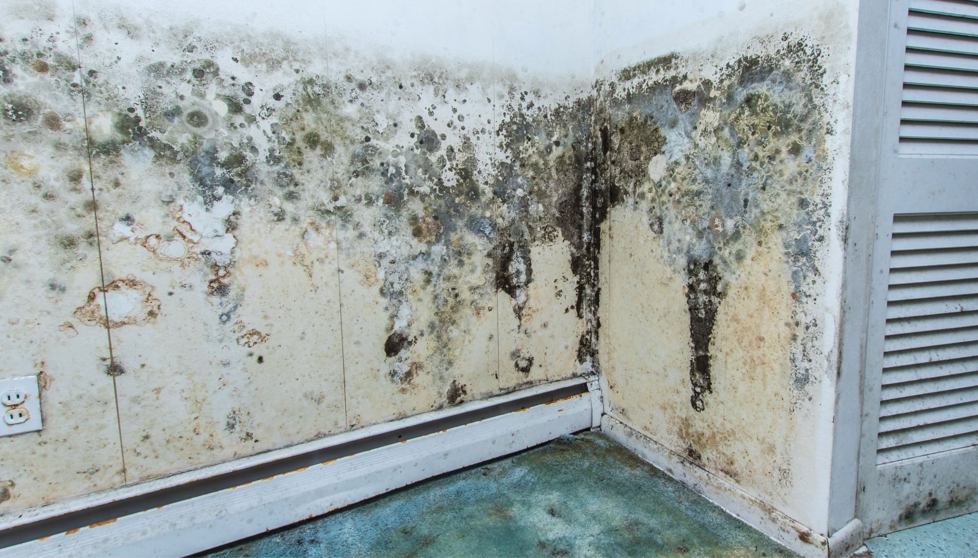Mold Damage Odor Control Services in Gresham