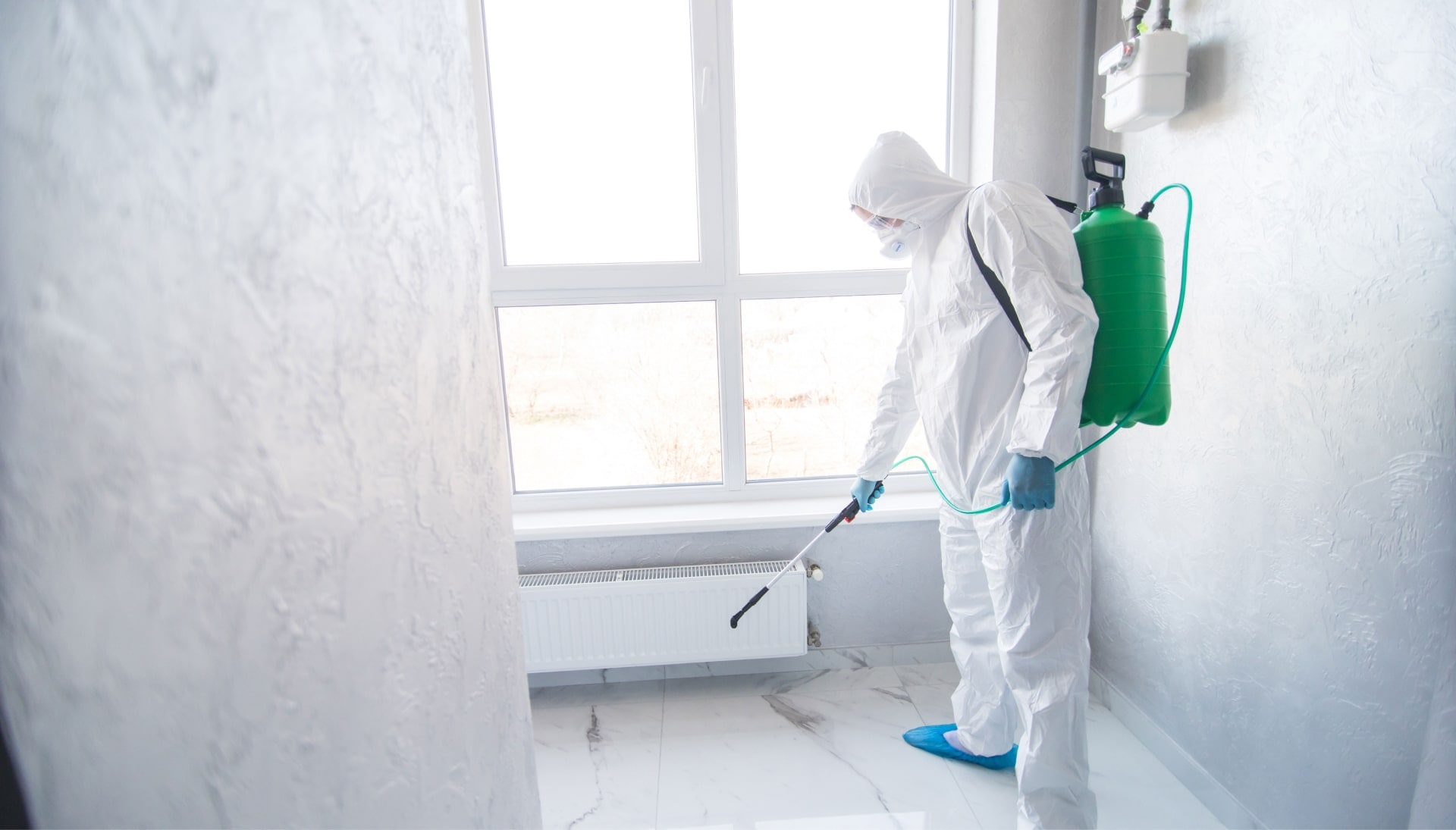 Mold Inspection Services in Gresham